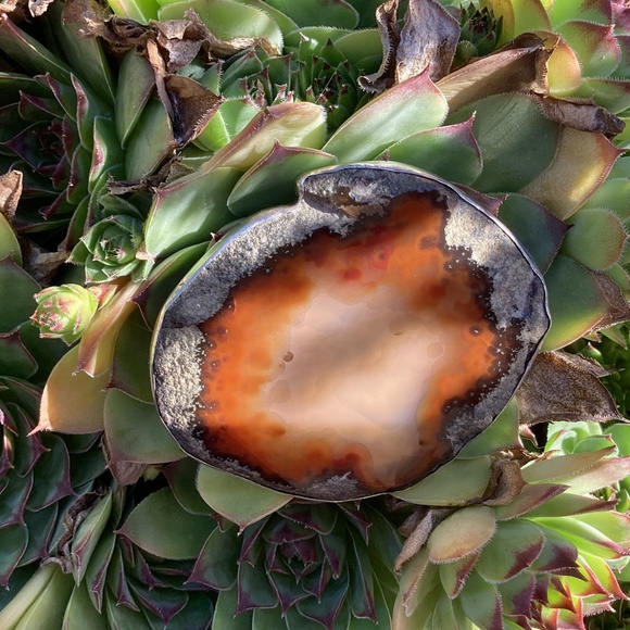 Beautiful Brown Agate Stone Sterling Silver Artisan Handmade Belt Buckle main image 4